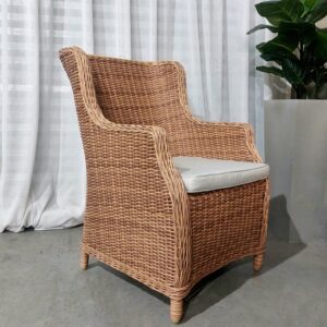 Sillón Darwin