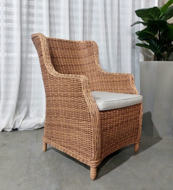 Sillón Darwin