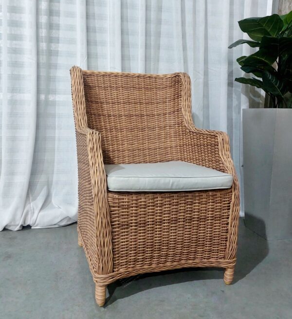 Sillón Darwin - Image 2